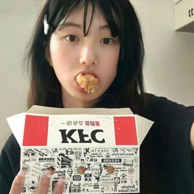 如翼之舟